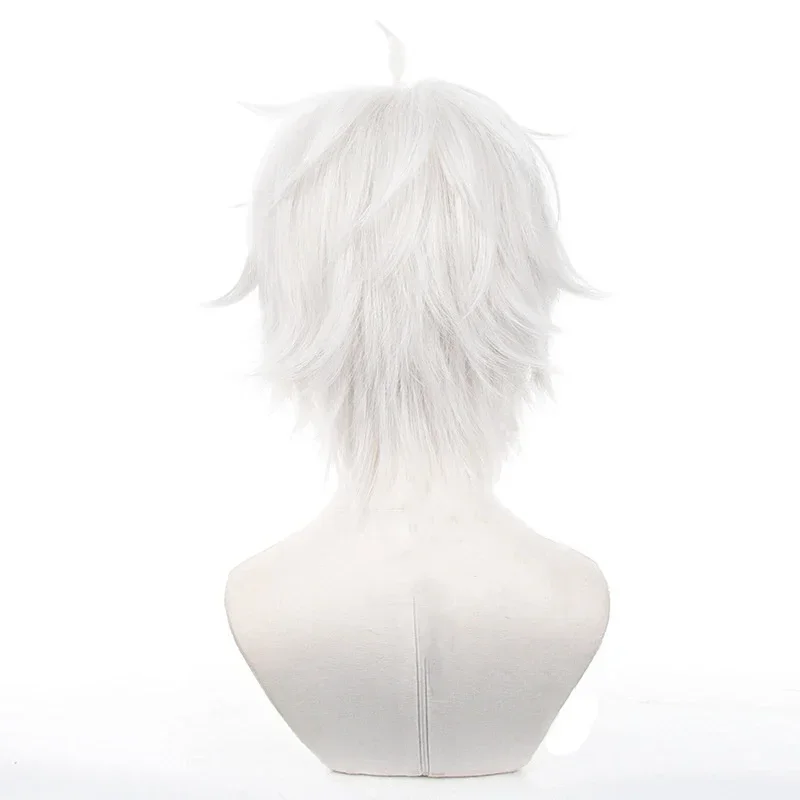 애니메이션 세이시로 나기 코스프레 가발 실버 화이트 3 - Cosplay Anime White Hair 리뷰 및 가격
