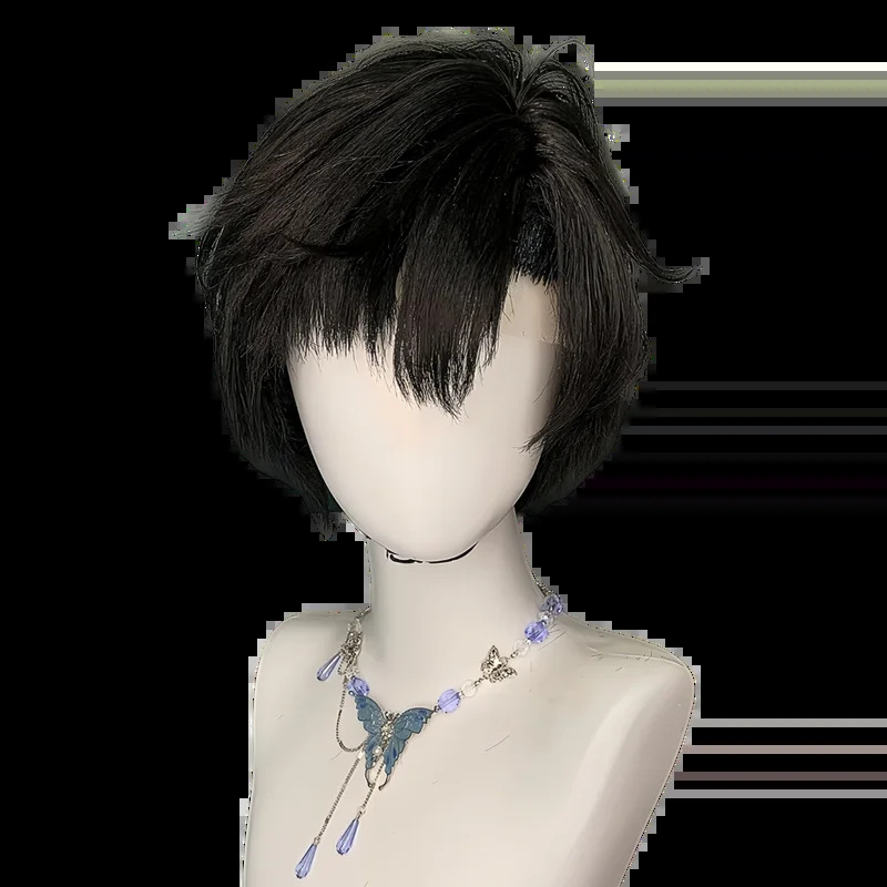 사이알리엔 스테이지 이반 가발 애니메이션 에일리언스테이 - Cosplay Anime Black Hair 리뷰 및 가격